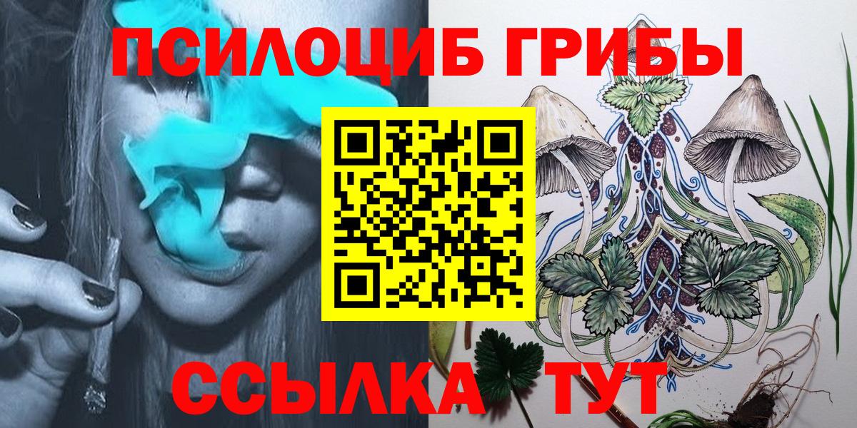 Еманжелинск  Галлюциногенные грибы мухоморы  дарнет шоп  Вход с VPN  Галлюциногенные грибы Psilocybe 