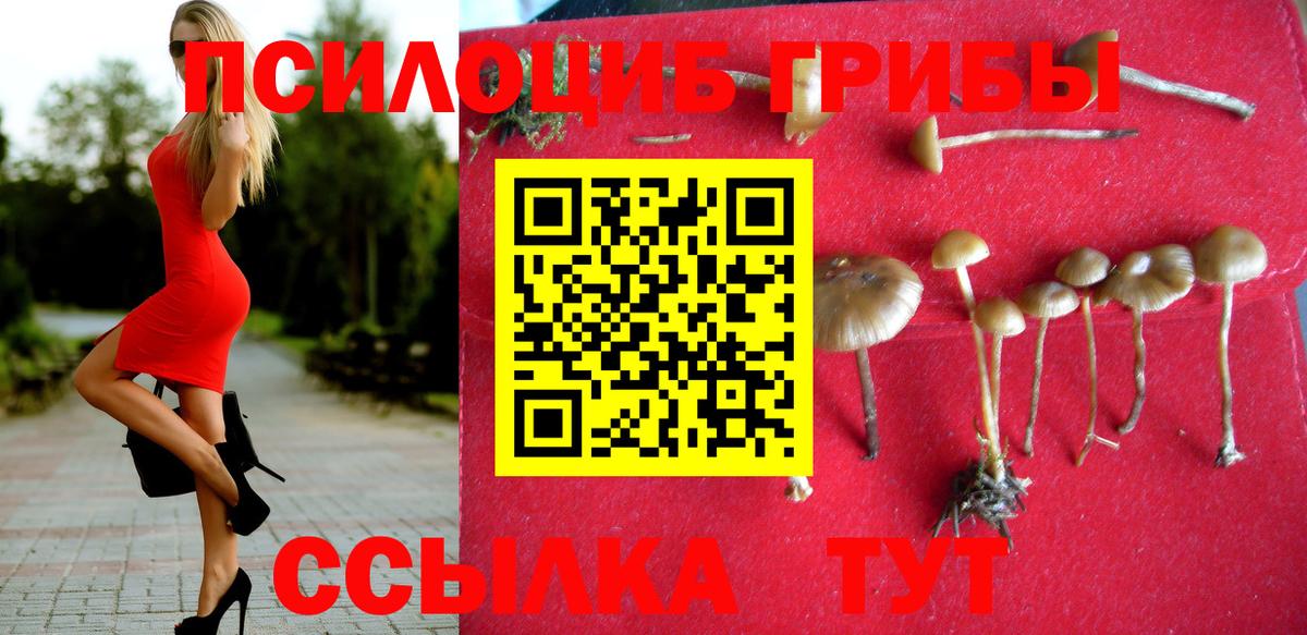 Галлюциногенные грибы Psilocybe Еманжелинск